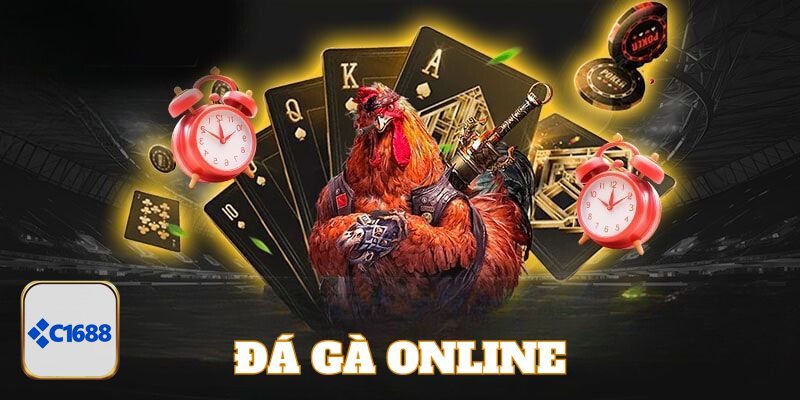 Đá Gà Cựa Dao - Cách tính kết quả thắng thua trong trận Đá Gà Cựa Dao - Cách tính kết quả thắng thua trong trận