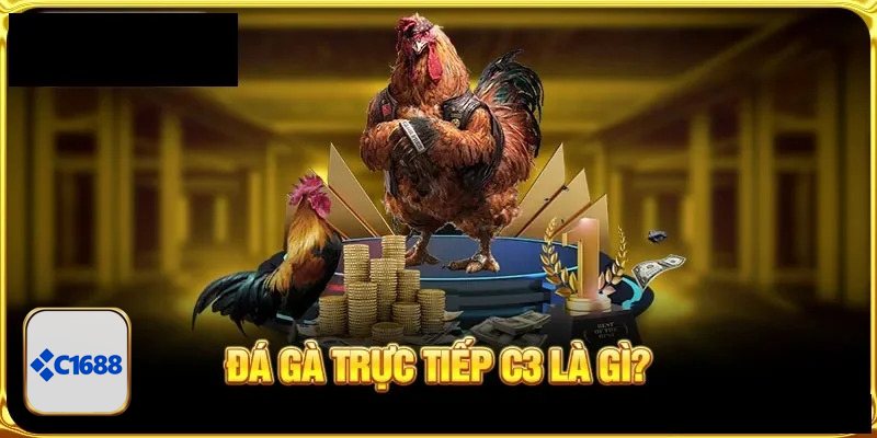 Đá Gà Cựa Sắt - Quy định về chiến kê và cựa sắt thi đấu