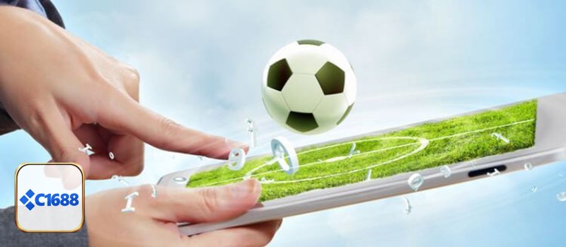 Thể Thao C1688 - Tầm nhìn và vị thế trên thị trường Thể Thao C1688 - Tầm nhìn và vị thế trên thị trường