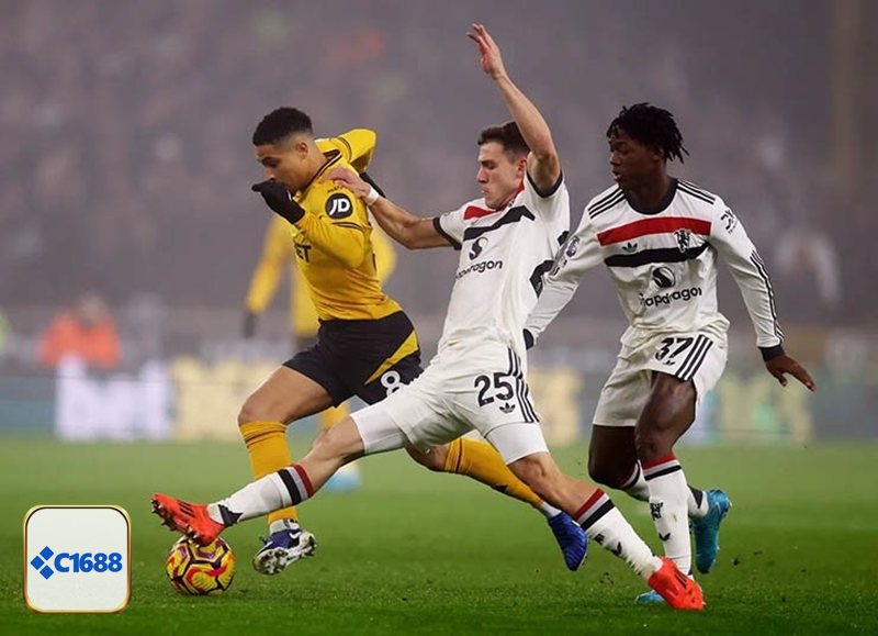 Kèo Châu Âu - Tỷ lệ odds và cách lựa chọn thời điểm vào tiền